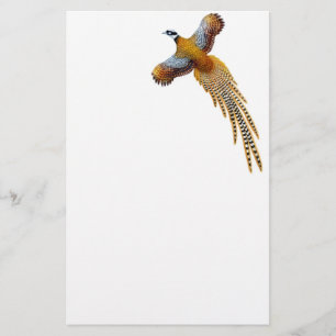 Reeves Pheasant Stationery