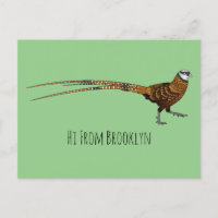 Reeves's pheasant bird cartoon illustration