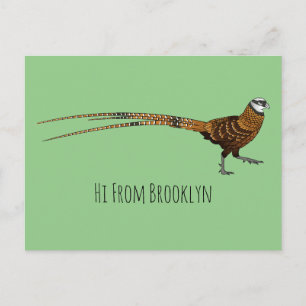 Reeves's pheasant bird cartoon illustration postcard