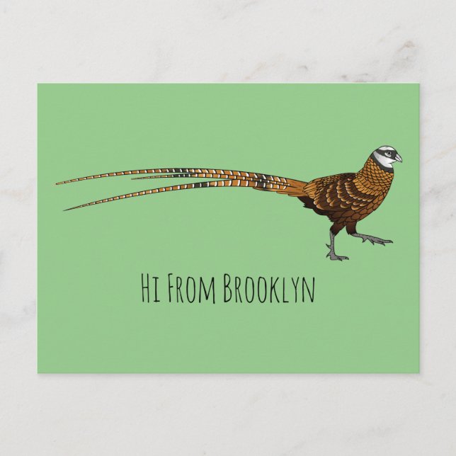 Reeves's pheasant bird cartoon illustration postcard (Front)