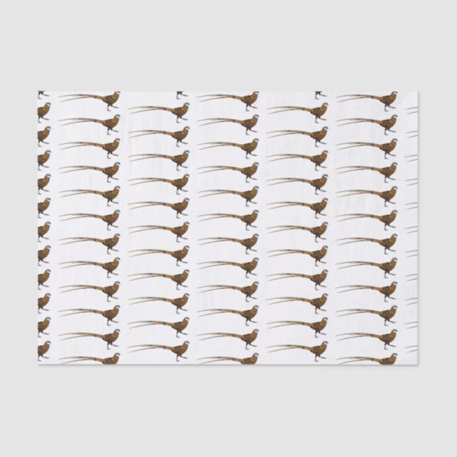 Reeves's pheasant bird cartoon illustration  tissue paper (Front)
