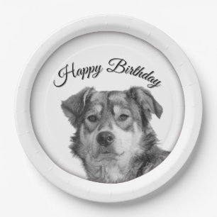 Refined Monochrome Mixed Breed Canine Birthday Paper Plate