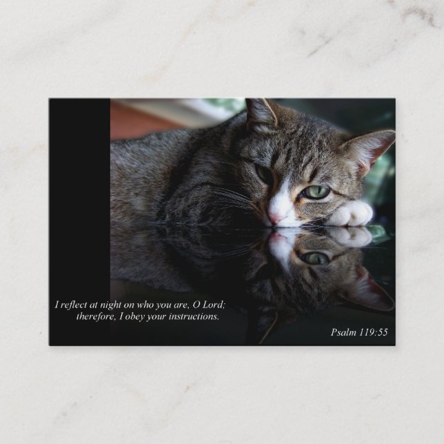 Reflect (Cat) Business or Calling Cards (Front)