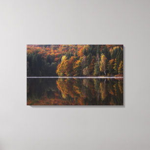 Reflected Colours Canvas Print