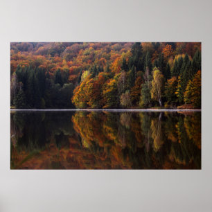 Reflected Colours Poster