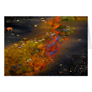 Reflected Glory