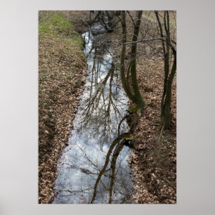 reflected on stream poster