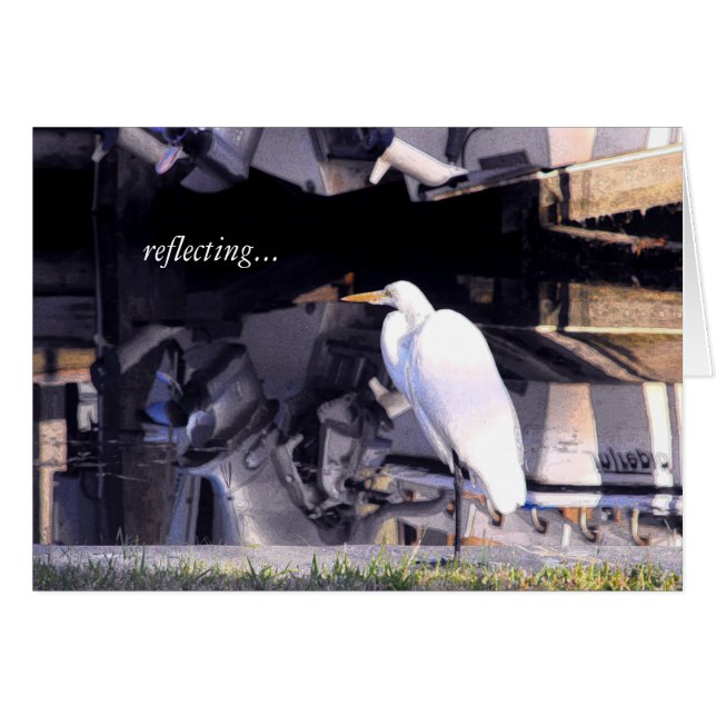 reflecting... (Front Horizontal)