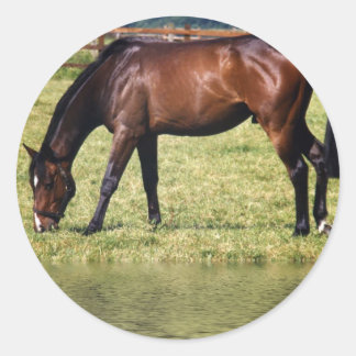 Reflecting Bay Classic Round Sticker