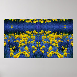 Reflecting Daffodils Poster