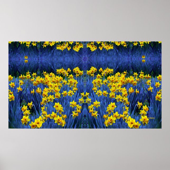 Reflecting Daffodils Poster (Front)