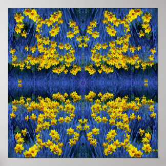 Reflecting Daffodils Poster