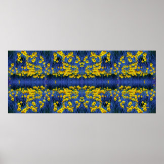 Reflecting Daffodils Poster