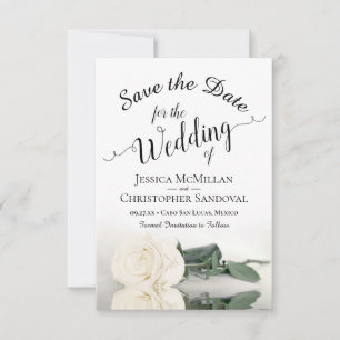 Reflecting Ivory White Rose Romantic Wedding Save The Date
