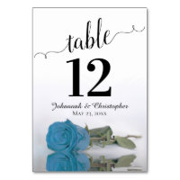 Reflecting Sky Blue Turquoise Rose Elegant Wedding