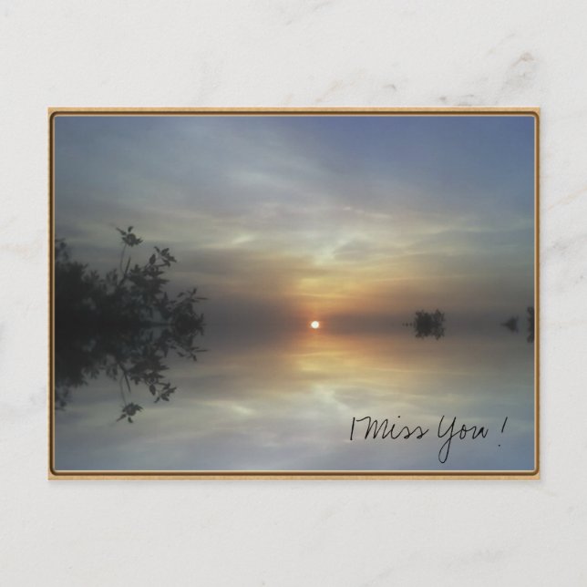 Reflecting Sunshine Postcard (Front)