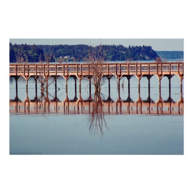 Reflecting Together Photo Print (Front)