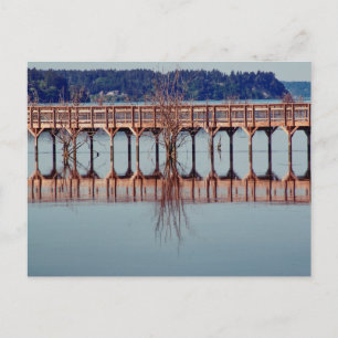 Reflecting Together Postcard