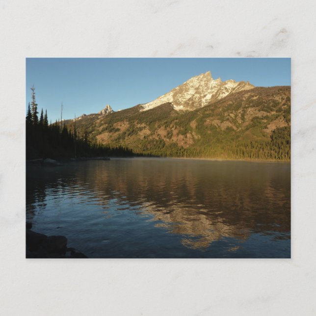 Reflection at Jenny Lake I Postcard (Front)
