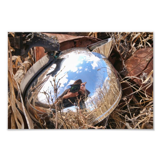 Reflection in a Field Photo Print (Front)