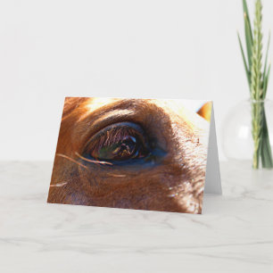 Reflection in Horse's Eye Card