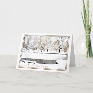 Reflection: In New Year: Boston Public Garden Holiday Card