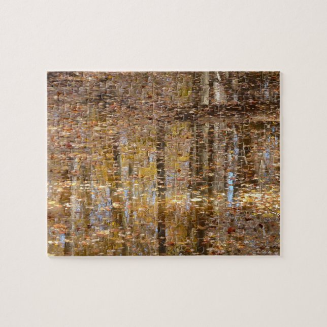 Reflection in Still Creek at Greenbelt Park Jigsaw Puzzle (Horizontal)