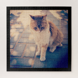 Reflection jigsaw puzzle