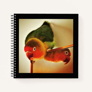 Reflection  notebook