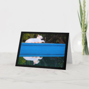 Reflection of a White Cat Card