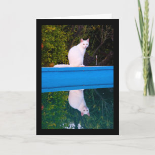 Reflection of a White Cat Portrait Card