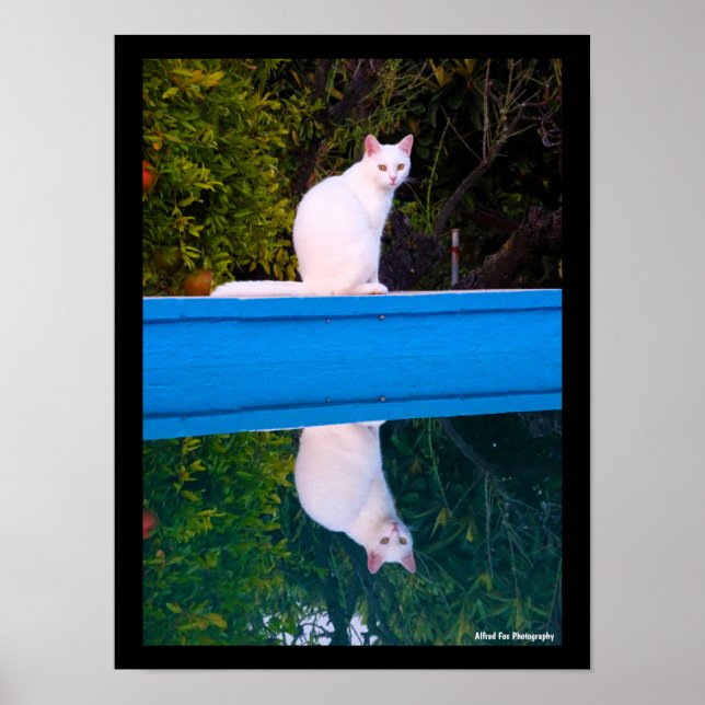 Reflection of a White Cat Portrait Poster (Front)