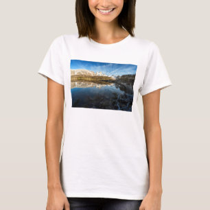 Reflection Of Patagonia T-Shirt