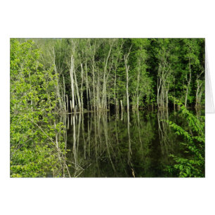 Reflection of Trees in Water Photograph Blank Card