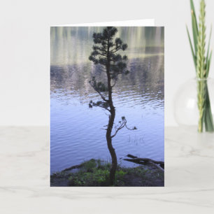 Reflection on the water card