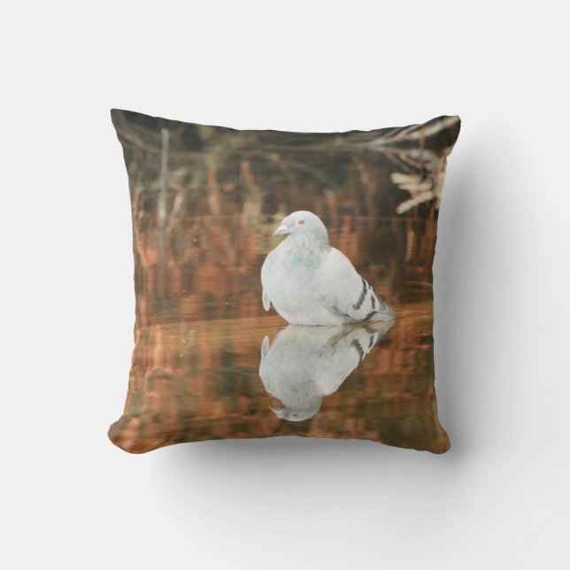 Reflection - pigeon decorator pillow (Front)