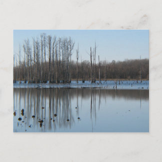 Reflection Postcard