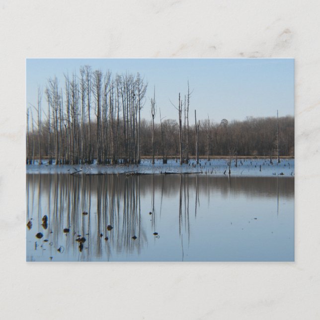 Reflection Postcard (Front)