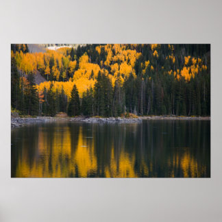 Reflection Poster