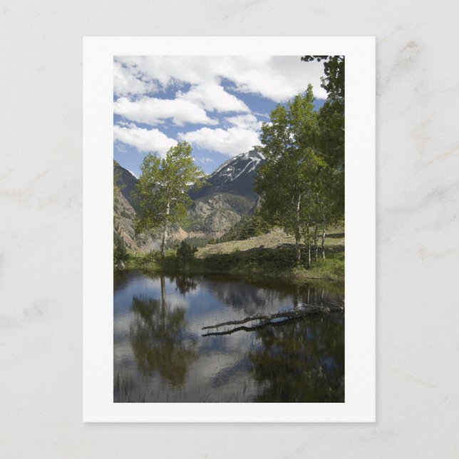 reflections along the trail postcard (Front)