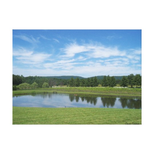 Reflections Canvas Print