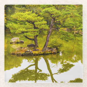 Reflections Glass Coaster