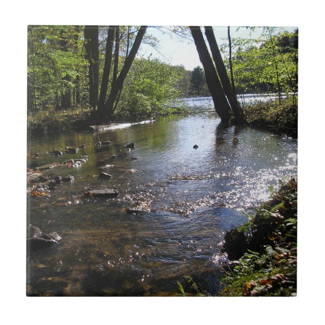 Reflections II Tile (Front)