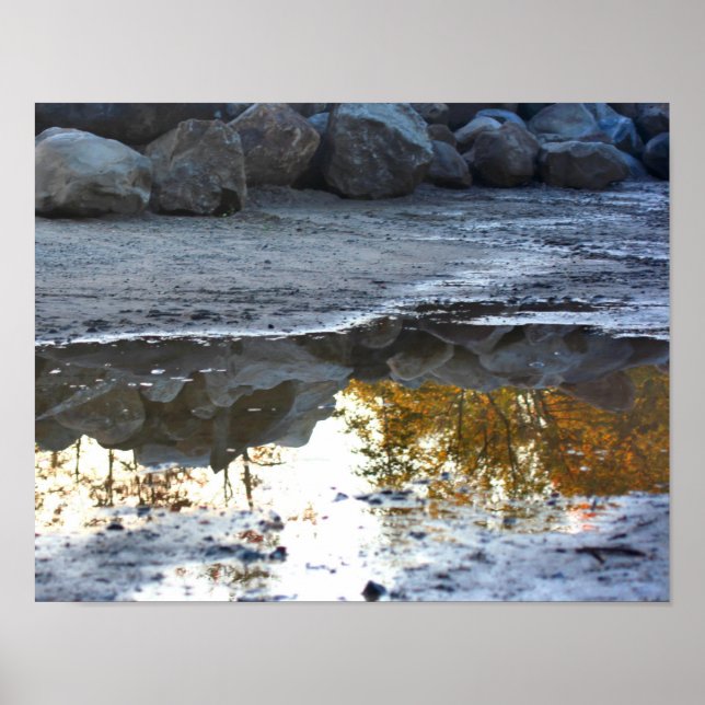 Reflections In A Puddle Nature Poster (Front)