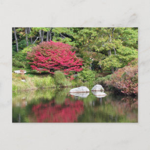 Reflections in an Azalia Garden Post Card