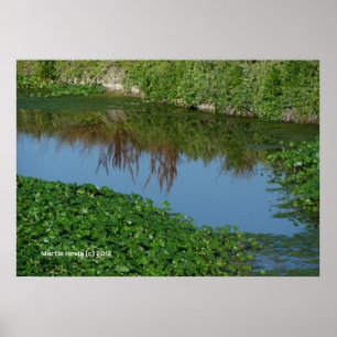 Reflections in Green Poster