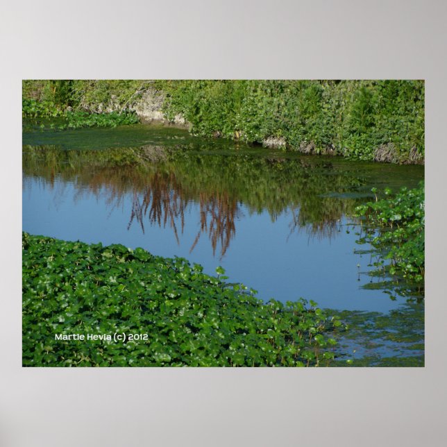 Reflections in Green Poster (Front)