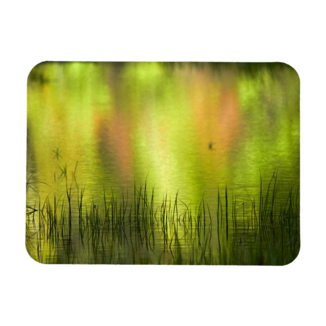 Reflections in Mirror Lake | Yosemite Magnet (Horizontal)