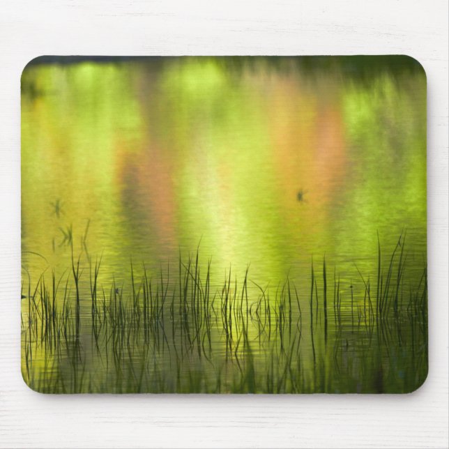 Reflections in Mirror Lake | Yosemite Mouse Mat (Front)
