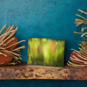 Reflections in Mirror Lake Yosemite Plaque